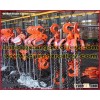 Hand chain hoist specifications