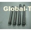 Guide pins/pillar