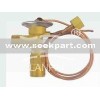 expansion valve