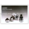 Delivery Valve Assembly