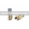 Spring check valve with filter