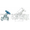 steam jacket globe valve