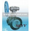 Ceramic Ball Valve