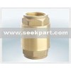 vertical check valve