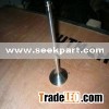 intake valve