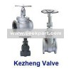 Forged valves