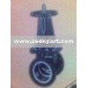Sluice Valve