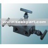 Manifold Valve