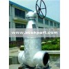 Pressure Seal Valve