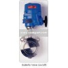 Electric Motor Actuator