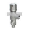 Stainless Steel Thread Safety Valve