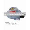 LPG Regulators (TS-R001)  valve