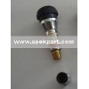 tyre valves