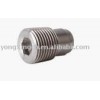 Check valves