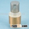 brass check valve with plastic innerside .