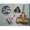 Concealed Valve
