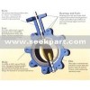 Butterfly Valve