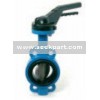Valve papillon (butterfly valve)