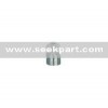 Valve cap CAP-09