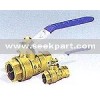 Brass& Bronze Valves/ Pipe Fittings