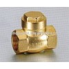 vertical lift check valve