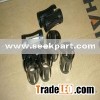 black bushing
