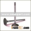 Valves
