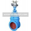Marine bronze door gate valve, marine hardware