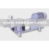 Lobe pump