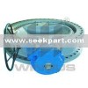 Sand Casting AWWA Butterfly Valve