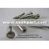 titanium standard fittings order