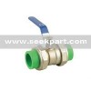 double union ppr ball valve