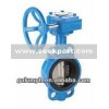 Concentric Butterfly Valve for Water & Waste Water Industry