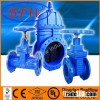 Ductile iron gate valve
