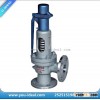safety valve/ pressure relief valve-Spring Type Safety Relief Valves