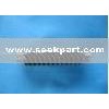 Worm Screw