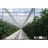 Solar Garden Tempered Glass