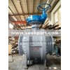 Worm Gear Ball Valve