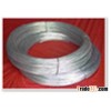 Galvanized Iron Wire