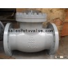 API/ANSI swing check valve