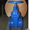 ductile iron gate valve dn40-600 high quality to algeria
