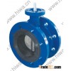 Flange type butterfly valve