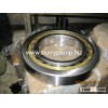 Slurry pump bearing G009