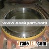 Steel Flange