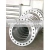 Stainless Steel Flange