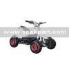 Mini Quad Bike