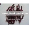 Bolts in purple color