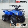 110cc quad bike