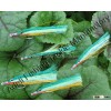 fishing fly