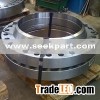 stainless steel flange